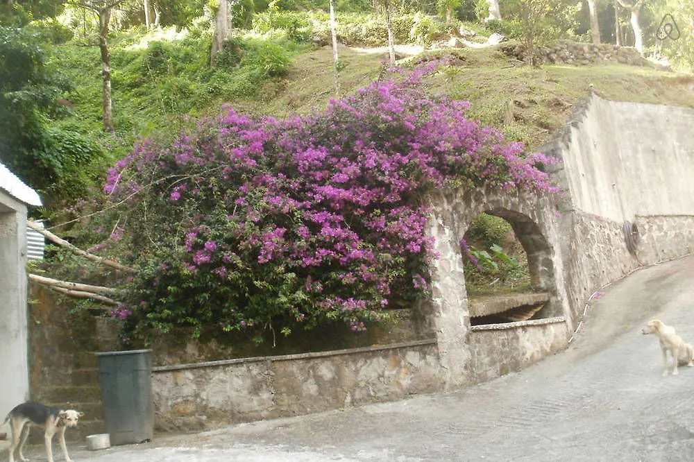 Hotel Boinin Heart Villa Soufriere